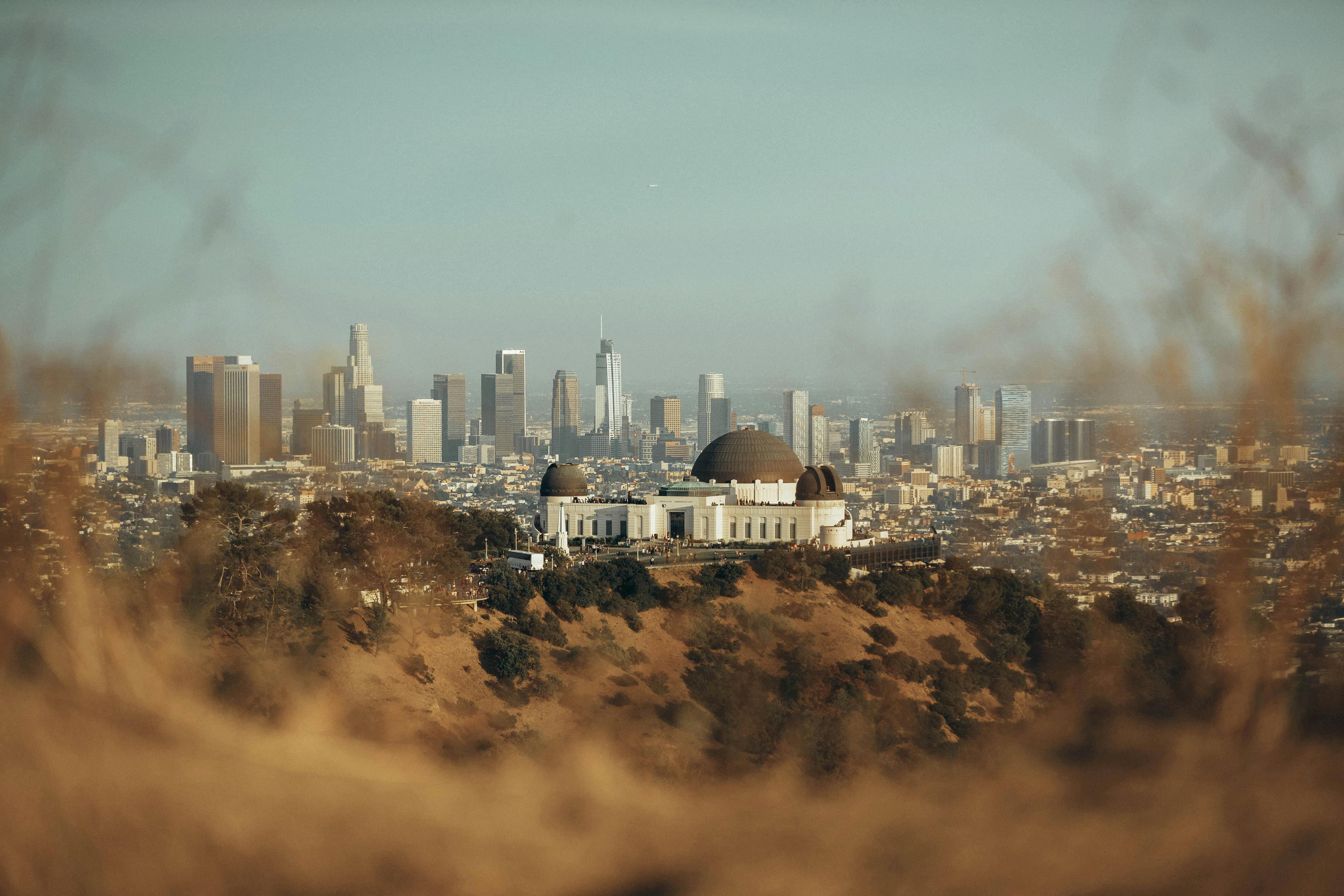 LA Background Image